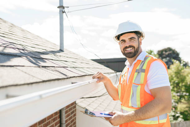 Best Rubber Roofing (EPDM, TPO)  in Hlsboro, IL